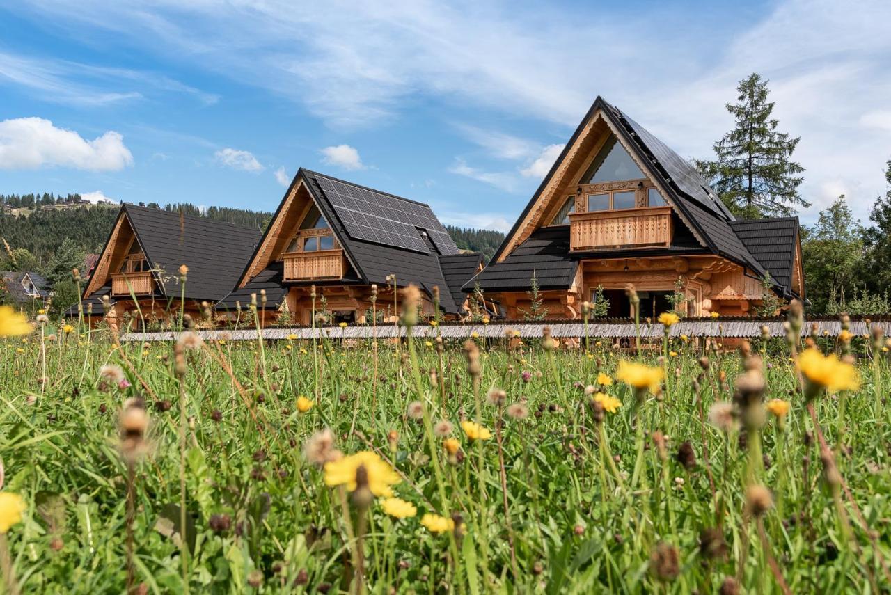 Sniezna Dolina - Sobiczkowa Bor Luxury Chalets Koscielisko Luaran gambar